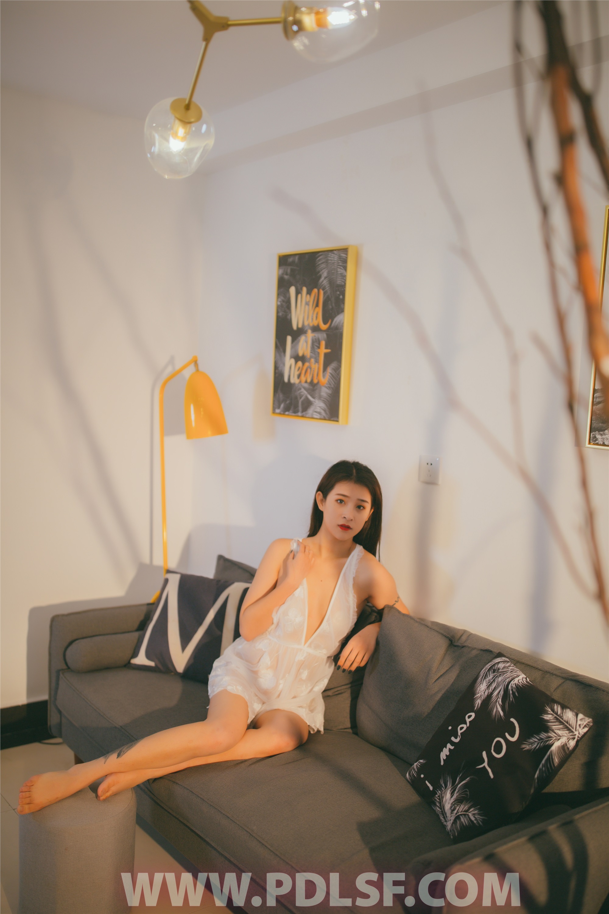 PDL潘多拉 2019.12.26 专辑No.258